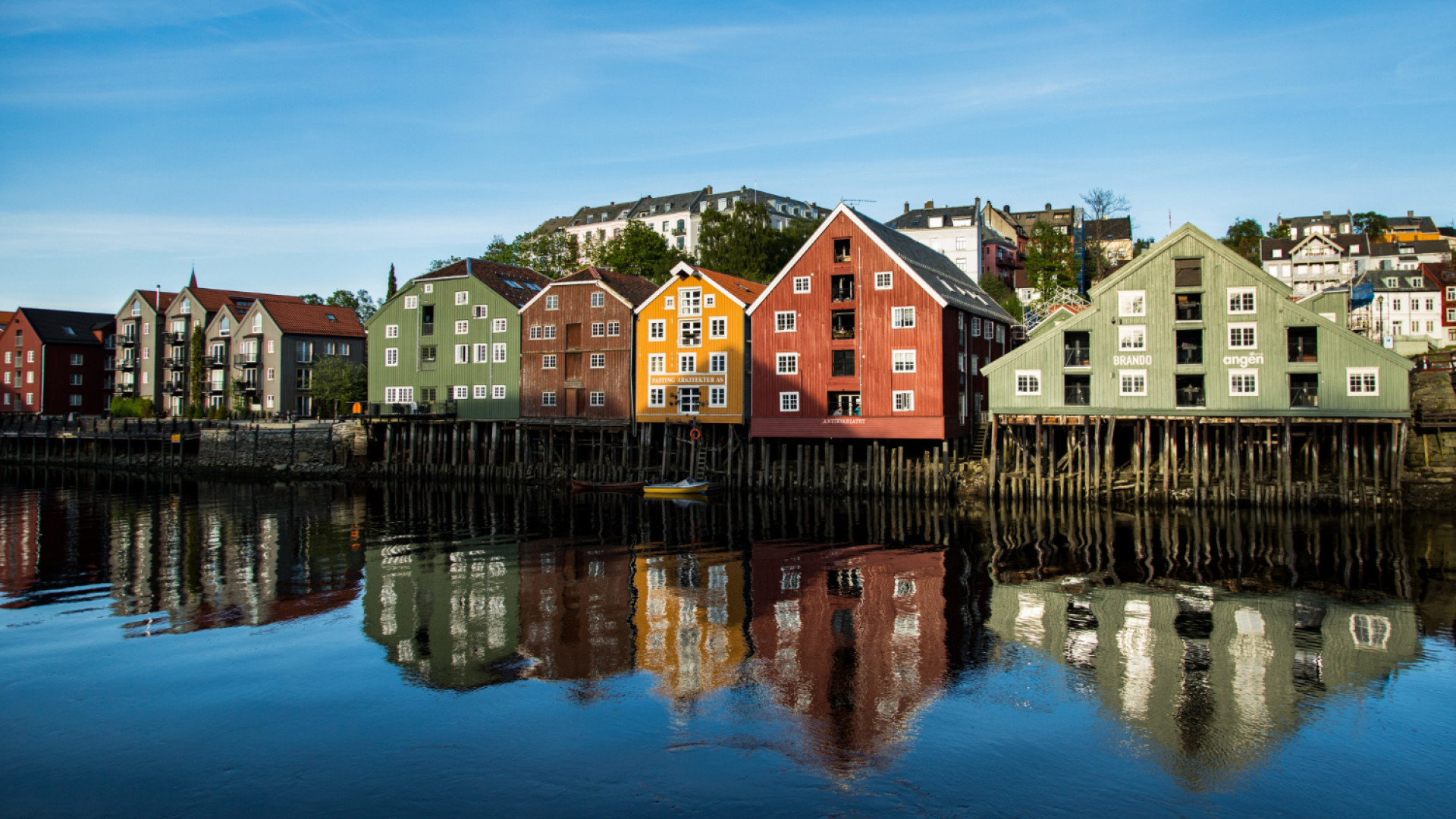 Croisière en Norvège : plongez au cœur des fjords, villages pittoresques et nature sauvage