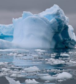 Antarctique en croisière : le continent blanc comme vous ne l’avez jamais vu