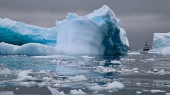 Antarctique en croisière : le continent blanc comme vous ne l’avez jamais vu