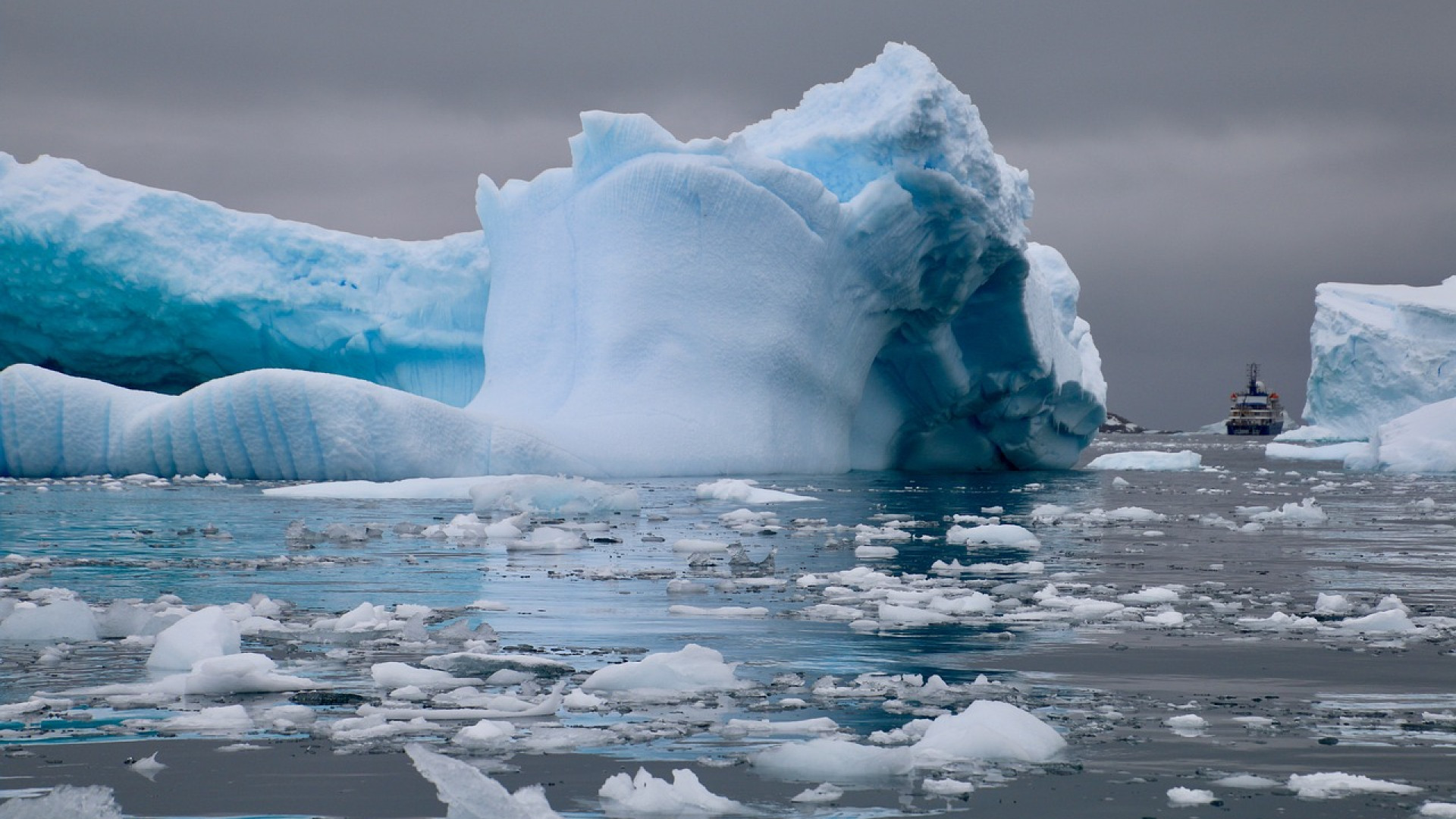 Antarctique en croisière : le continent blanc comme vous ne l’avez jamais vu
